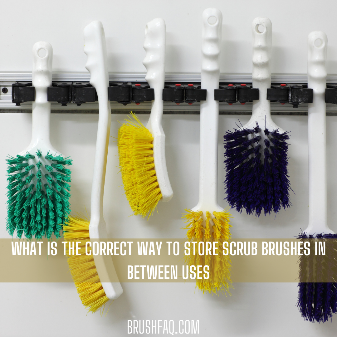 What Is The Correct Way To Store Scrub Brushes In Between Uses