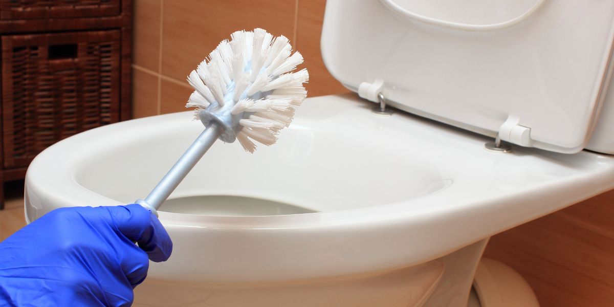 How Often Should Toilet Bowl Brushes Be Changed?