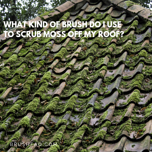 Removing Moss from A Roof