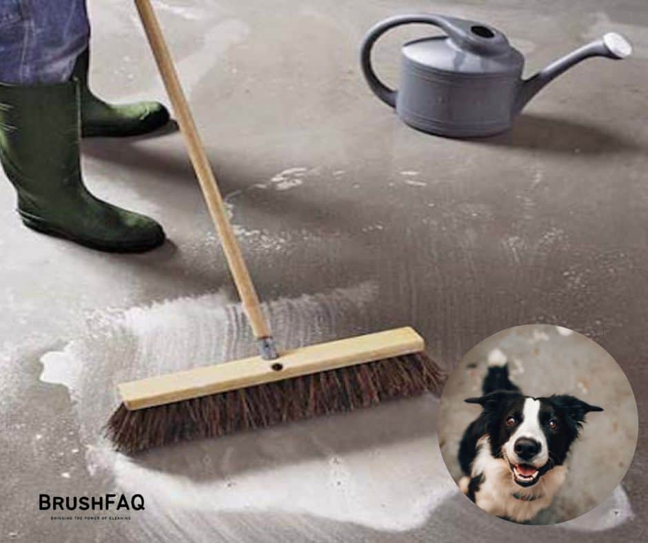 How to Clean Dog Urine From Cement Floor?